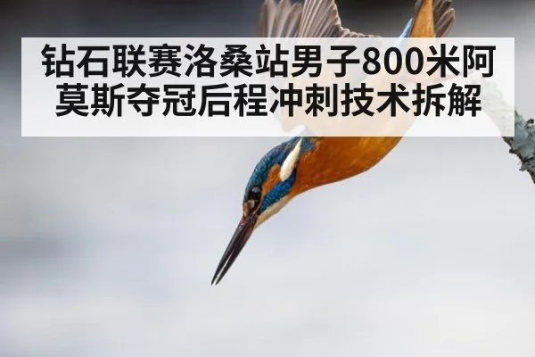钻石联赛洛桑站男子800米阿莫斯夺冠后程冲刺技术拆解